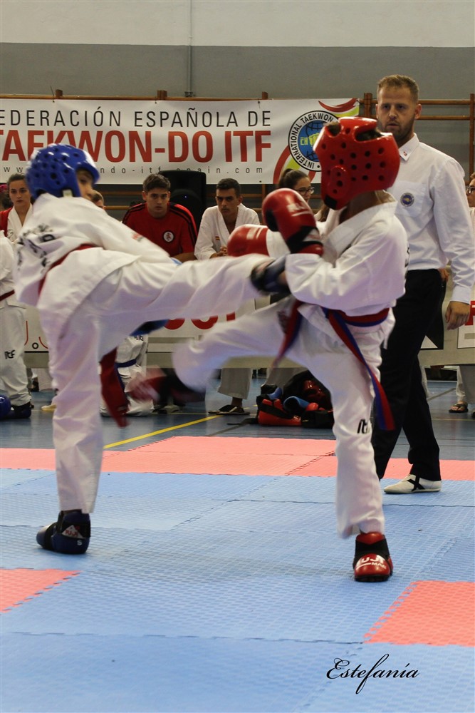 Copa Seul 2018 (524).jpg